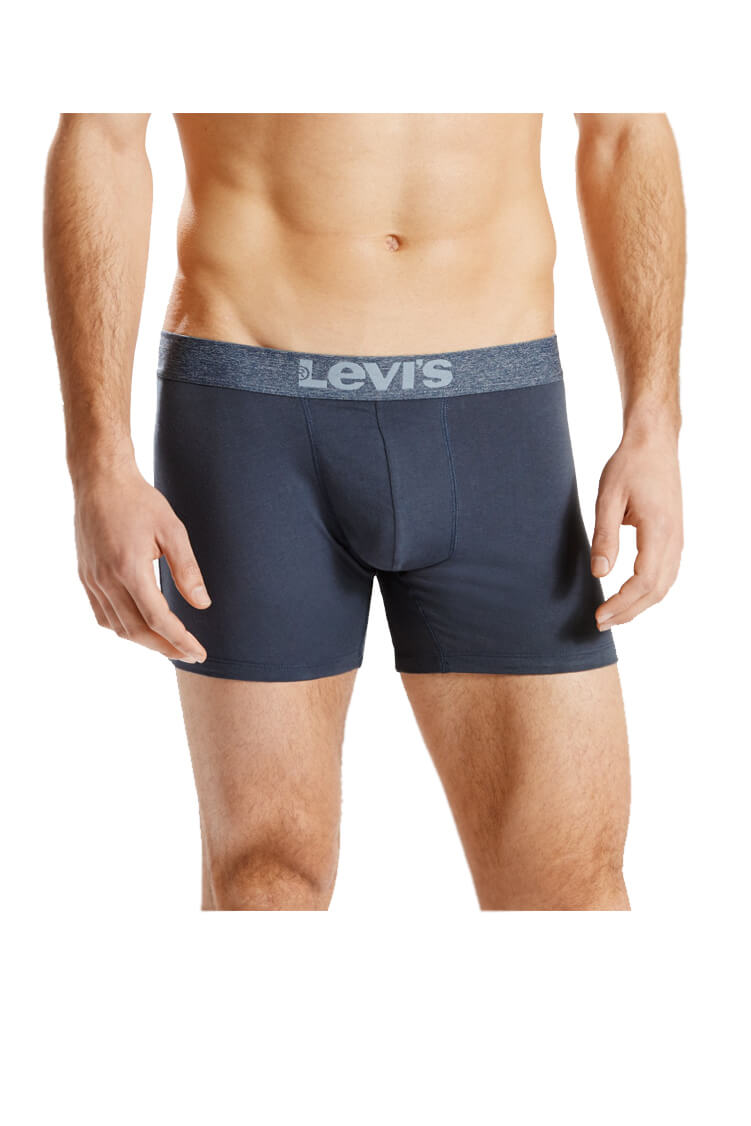 BOXER BRIEF 2P IDG