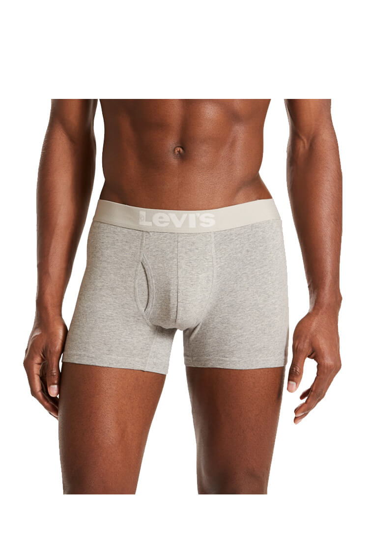 BOXER BRIEF  VINTAGE STRIPE HGY